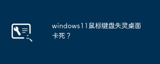 windows11鼠标键盘失灵桌面卡死？