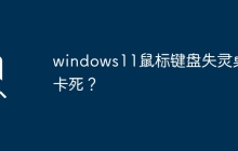 Windows 11遇到鼠标键盘失灵和桌面卡死的问题？