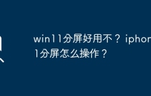 Win11分屏体验如何？iPhone11如何进行分屏操作？