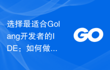 选择最适合Golang开发者的IDE：如何做出明智的决策？