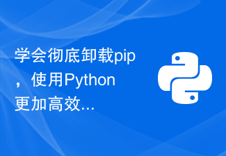 Erfahren Sie, wie Sie pip vollständig deinstallieren und Python effizienter nutzen