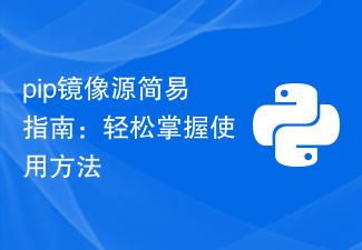 Simple guide to pip mirror source: easily master how to use it