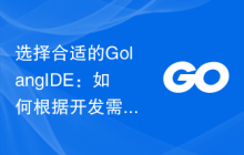 选择合适的GolangIDE：如何根据开发需求进行对比？