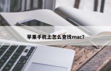如何在苹果手机上查找Mac地址？