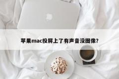 Apple Mac の画面ミラーリングの音は正常ですが、画像が表示されません。