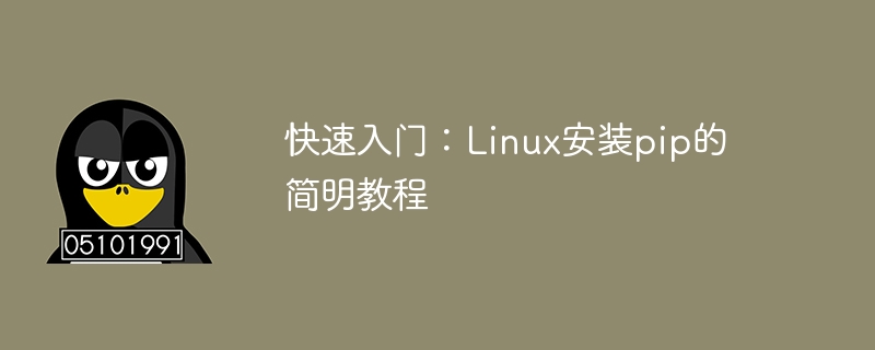 快速入门：linux安装pip的简明教程
