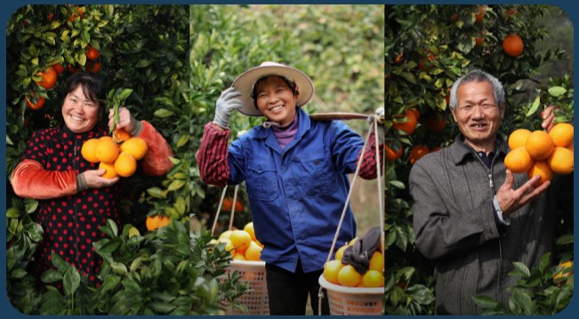 Des dragons à cinq couleurs volent, des cœurs orange aident les agriculteurs et le cinquième plan caritatif de personnalité pour aider les agriculteurs est officiellement lancé.