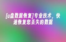 [u盘数据恢复]专业技术，快速挽救您失去的信息