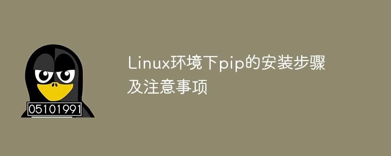 linux环境下pip的安装步骤及注意事项