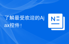 了解最受欢迎的Ajax控件！