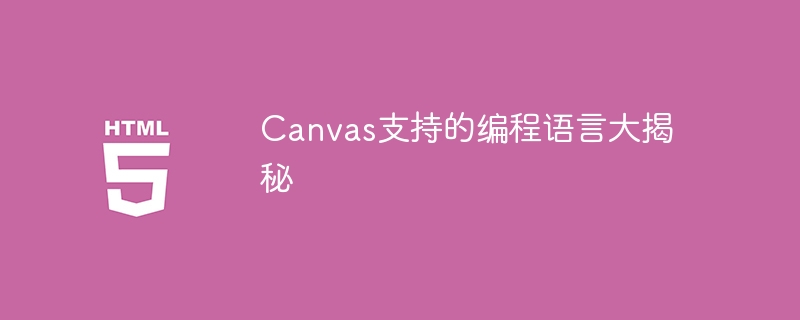 canvas支持的编程语言大揭秘