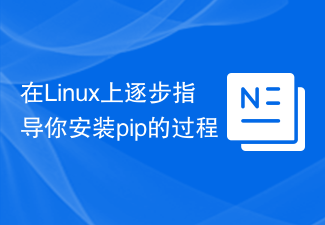 Linux에 pip를 설치하는 단계별 가이드