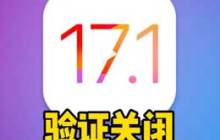 如何检查是否已停用iOS版本验证通道?