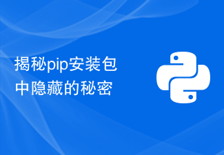 揭秘pip安装包中隐藏的秘密