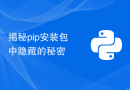 揭秘pip安装包中隐藏的秘密