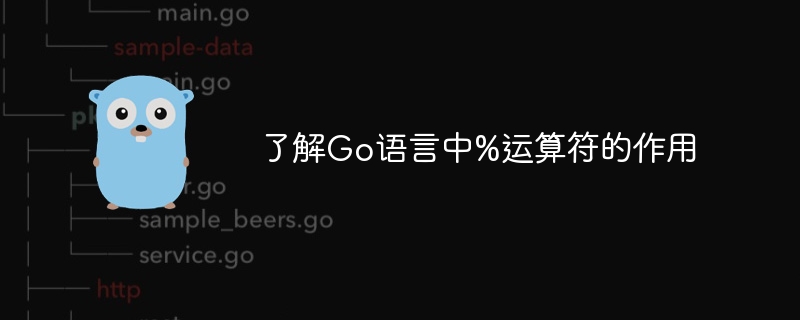 了解go语言中%运算符的作用