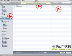 iPad で iTunes を使用するためのハウツーガイド