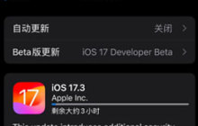 苹果 iOS / iPadOS 17.3 RC版本更新内容概览