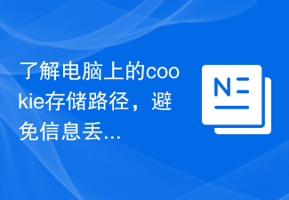 情報の損失を避けるために、コンピュータ上の Cookie の保存パスを理解する