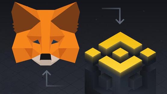 MetaMask の詳細: その機能と用途の詳細な分析