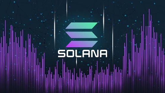 In-depth analysis of what wallets are suitable for the Solana chain?