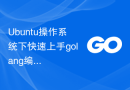 Ubuntu操作系统下快速上手golang编程的安装指南