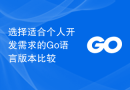 选择适合个人开发需求的Go语言版本比较
