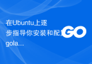在Ubuntu上逐步指导你安装和配置golang
