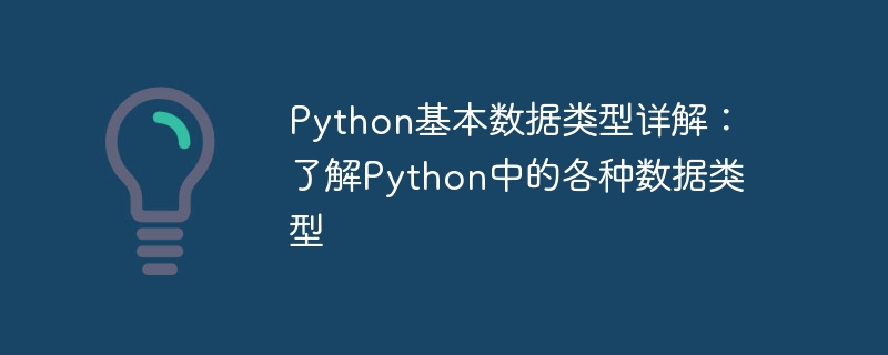 Python의 기본 데이터 유형에 대한 심층적 이해: Python의 다양한 데이터 유형에 대한 자세한 설명