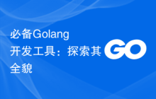 必备Golang开发工具：探索其全貌