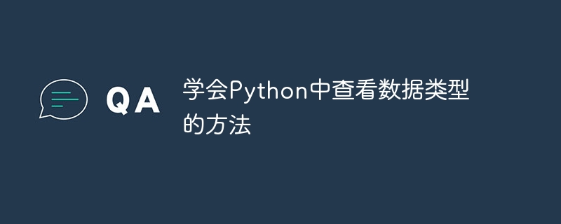 Python でデータ型を表示するためのヒント