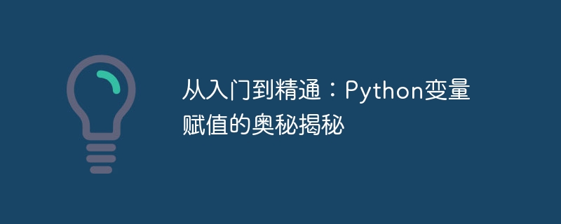 Python 変数代入の謎を解く: 初心者からプロフェッショナルまで