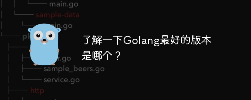 知っておくべき Golang のバージョンはどれですか?