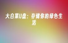绿色生活存储器：大白菜U盘
