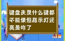 发现键盘无法使用,指示灯仍然亮起,出现了什么问题?