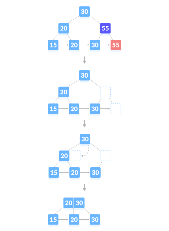 使用Python編寫B+樹的刪除操作程式碼