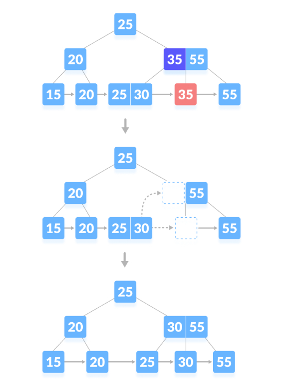 使用Python编写B+树的删除操作代码