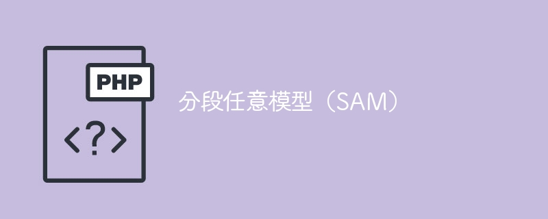 段落分隔自適應模型（PSAM）