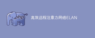 ELAN: 提升远程注意力的高效网络