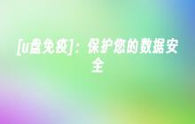 [U盘安全保护]：保障您的数据安全