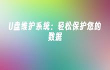 保护您的数据：简便的U盘维护系统