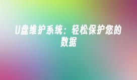 保护您的数据：简便的U盘维护系统