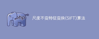 尺度转换不变特征(SIFT)算法