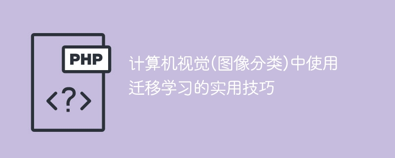 전이 학습을 위한 실용적인 팁을 사용한 컴퓨터 비전 애플리케이션의 이미지 분류