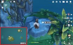 原神回声海螺分布图是什么