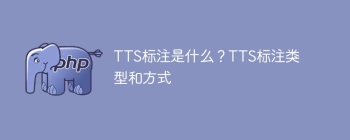 TTS标注的定义及其分类