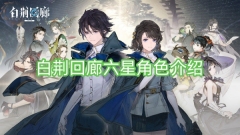 六个白荆回廊之星角色揭秘