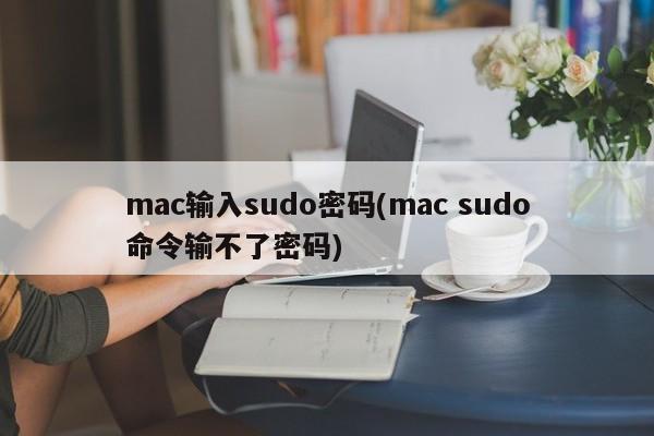 mac输入sudo密码(mac sudo命令输不了密码)