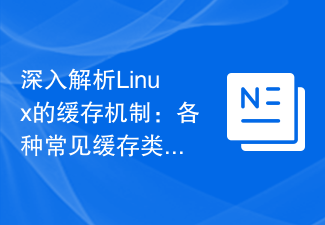 Linux 캐싱 메커니즘에 대한 심층 분석: 다양한 일반 캐시 유형 및 사용 시나리오