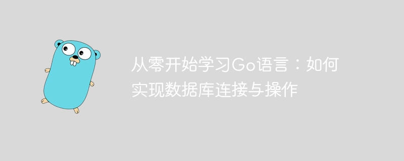 Go 언어 학습의 첫 번째 단계: 데이터베이스 연결 및 운영 구현 방법